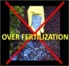 Over Fertilization