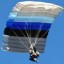 Parachute and falling object
