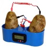 Potato Powered Clock