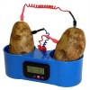 Potato Powered Clock