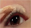 Apply eyeshadow primer