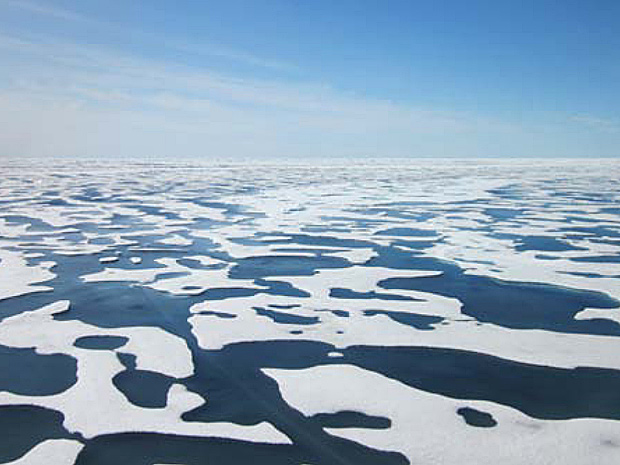 Huge Algae Bloom Discovered Under Arctic Ice by NASA