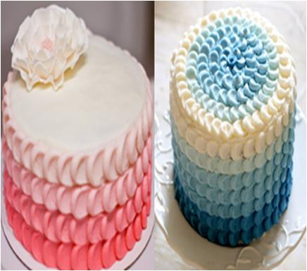 Ombre Petals cake