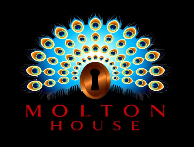 Molton House Nightclub London