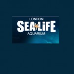 Sea Life Aquarium