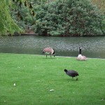 Southwark Park, London