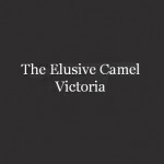 The Elusive Camel Victoria Pub