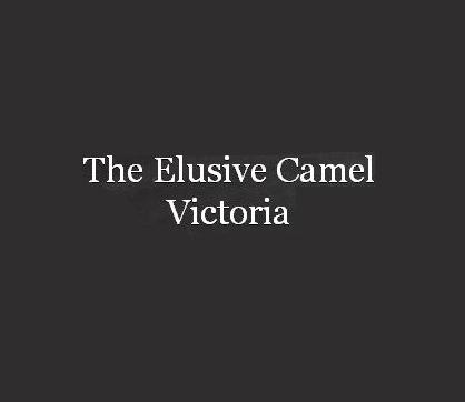 The Elusive Camel Victoria Pub