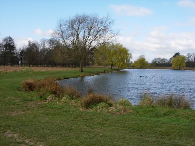 bushy Park