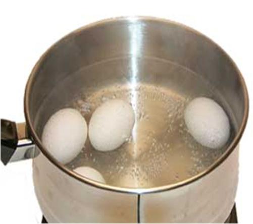 Boil Eggs