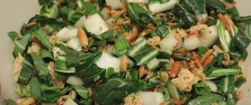 Bok Choy Salad Recipe