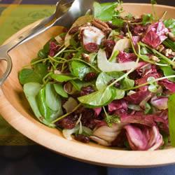 Fennel, Watercress and Cranberry Salad Recipe