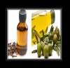 Olive or clove oil