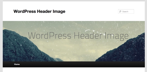 Clean up WordPress Extra Things from Header