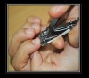 Make Artificial Nails