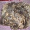 How to wash Sheep wool