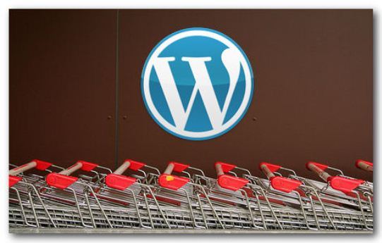 Create E commerce Website with WordPress