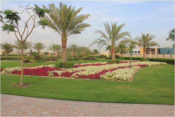 Al Barsha Park Dubai