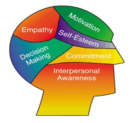 Emotional Intelligence