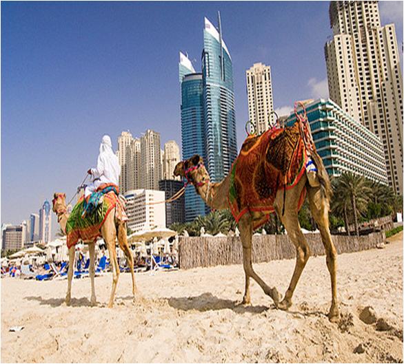 Explore Best Beaches to Visit in Dubai UAE