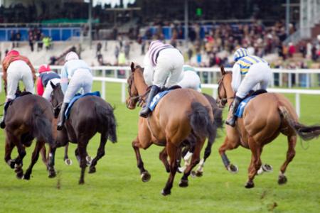 Dubai World Cup Horse Race