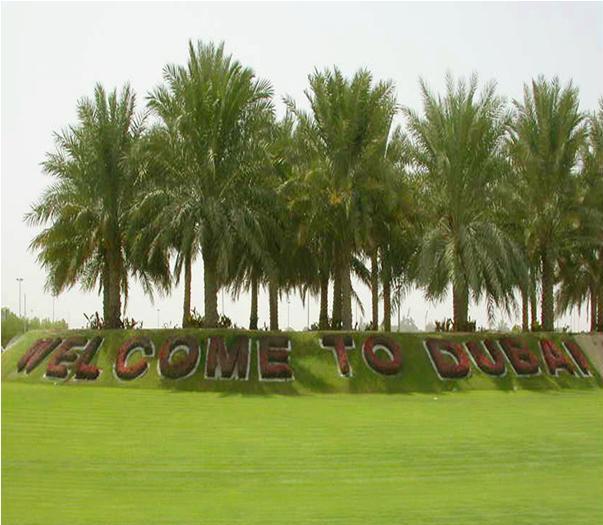 Public Parks in Dubai Overview