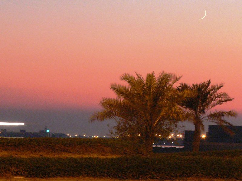 Ramadan Guide for Expatriates