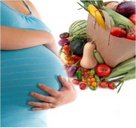 Foods for Pregnancy