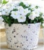 Make Pebbled Flower Pot