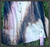 Make a Galaxy Print Dress