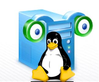 Install Camfrogserver Advanced 6.0 on Ubuntu Linux