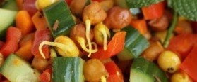 Sprouted Bean Salad Recipe