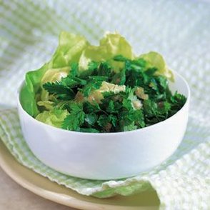 Tossed Leaf and Herb Salad Recipe