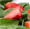 Strawberry Spinach Salad