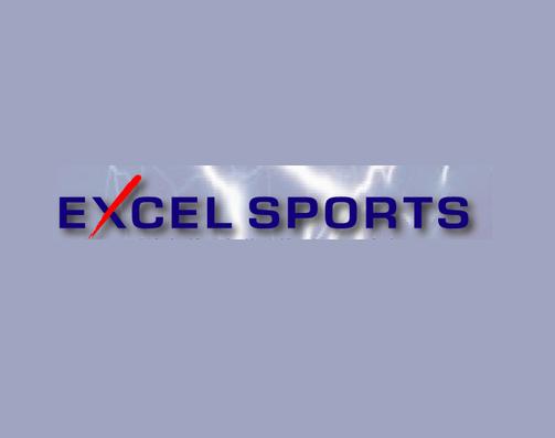 Excel Sports Services Dubai Overview