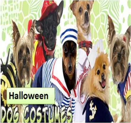 Costume Ideas for Dogs