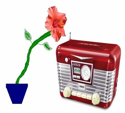 Music Player with Plant