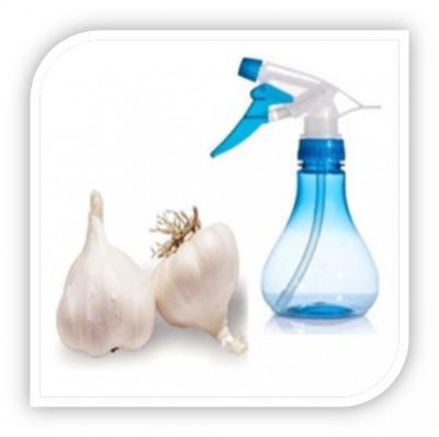 How to Get Rid Of Garden Moles