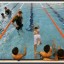 STA Al Wasl Swimming Academy Dubai Overview