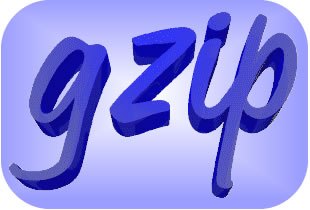Speed Up Your Website with GZIP Compression
