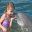 Places to Swim With Dolphins in Dubai