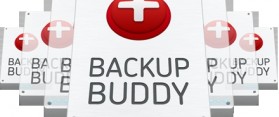 Install BackupBuddy on your Site