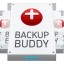 Install BackupBuddy on your Site