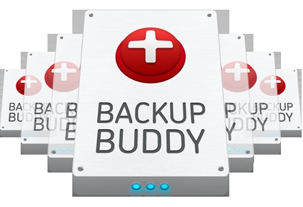 Install BackupBuddy on your Site