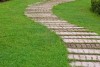 Pathways in the green grass