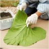 make Leaf Shaped Stepping Stones