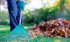 Raking away leaves in your garden