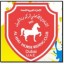 Al Ahli Riding School Dubai Overview
