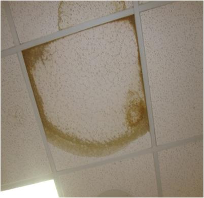 Replace A Damaged Ceiling Tile