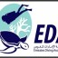 Emirates Diving Association Dubai Overview